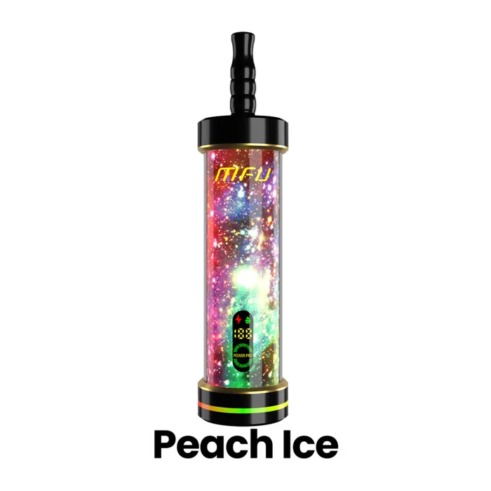 MFU MFU Shisha X2 60K Peach Ice
